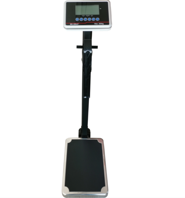 Electric bmi scale